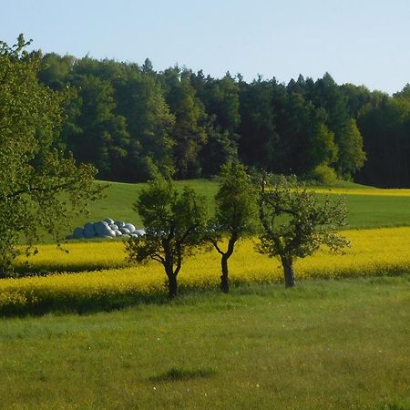 Ferienwohnung Porschendorf Durrrohrsdorf-Dittersbach Exterior foto